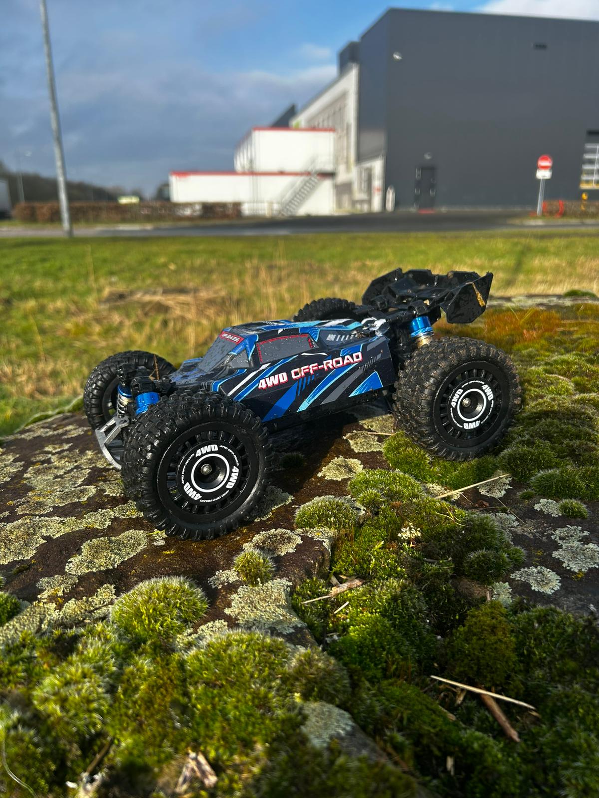 RC buggy